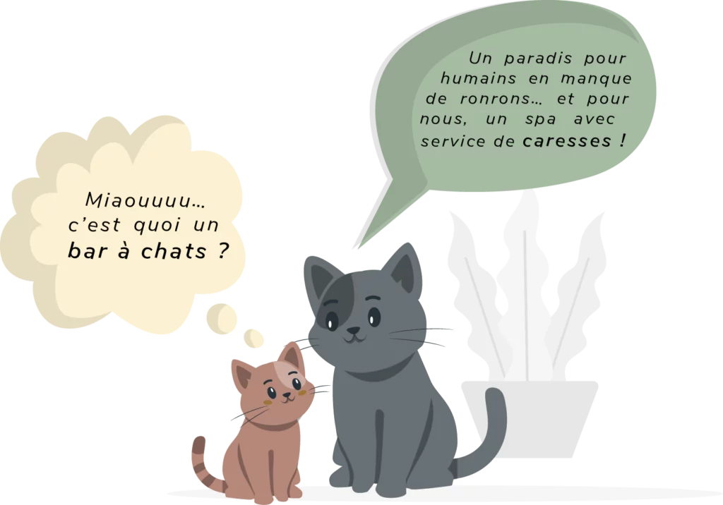 Illustration de discussion entre chats dans le bar à chats Miaouthé à Bordeaux